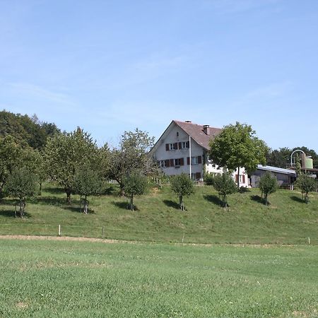 Bnb Im Waldhof Bachenbulach Exteriör bild
