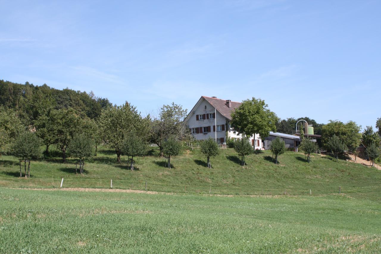 Bnb Im Waldhof Bachenbulach Exteriör bild